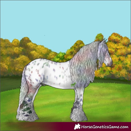 Horse Color:Gray Nacre White Spotted Silver Grullo Chinchilla Appaloosa 