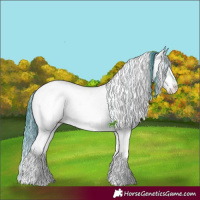Horse Color:Watercolor Brown Ice Onyx Sabino Appaloosa 