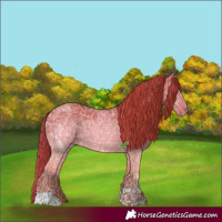 Horse Color:Watercolor Liver Chestnut Ice