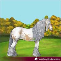 Horse Color:Watercolor White Spotted Brown Ice Dun Sabino 