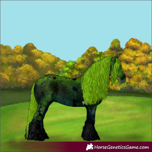Horse Color:ERROR: UNKNOWN ANOMALY