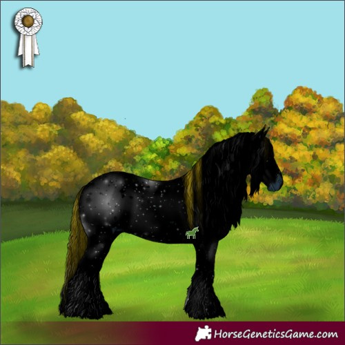 Horse Color:ERROR: UNKNOWN ANOMALY