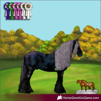 Horse Color:ERROR: UNKNOWN ANOMALY