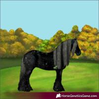 Horse Color:ERROR: UNKNOWN ANOMALY