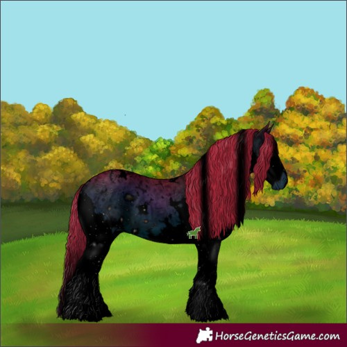 Horse Color:ERROR: UNKNOWN ANOMALY