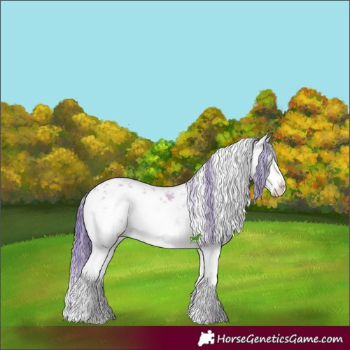 Horse Color:Watercolor White Spotted Chocolate Brown Ice Onyx Sabino Splash Brindle 