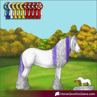 Horse Color:Watercolor Chocolate Brown Chinchilla Ice Onyx Sabino Splash