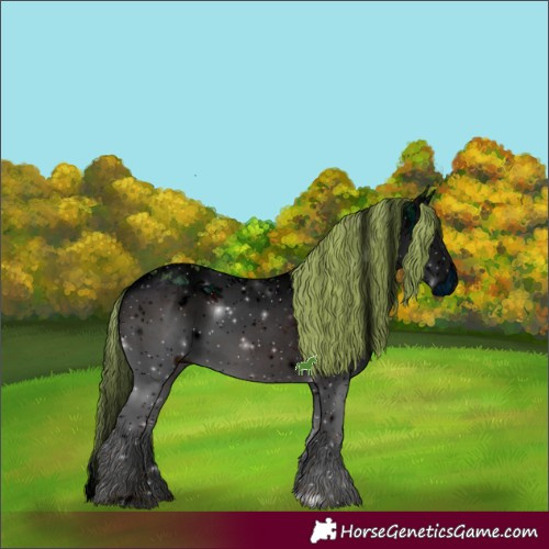 Horse Color:ERROR: UNKNOWN ANOMALY
