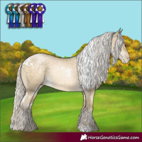 Horse Color:White Spotted Silver Buckskin Pearl Dun