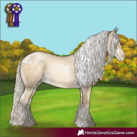 Horse Color:White Spotted Silver Buckskin Pearl Dun