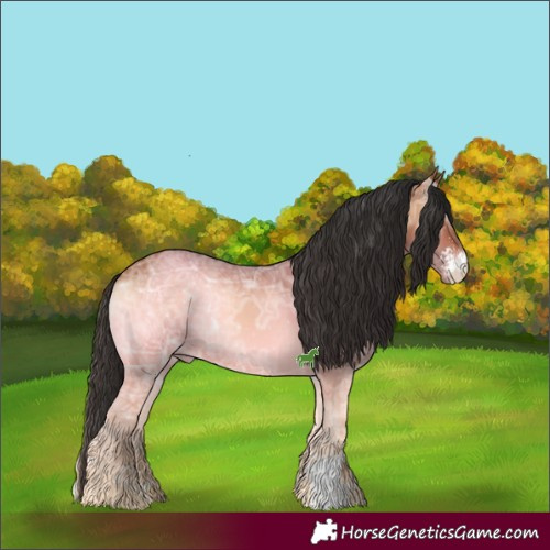 Horse Color:Bay Ice Onyx Sabino 