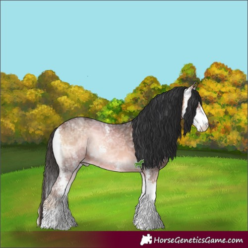 Horse Color:Bay Ice Onyx Sabino 