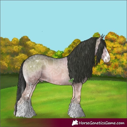 Horse Color:Blue Onyx Ice Sabino Splash 