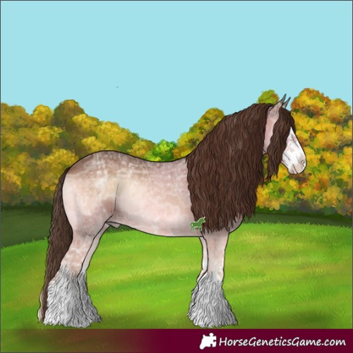 Horse Color:Red Onyx Ice Sabino Splash 