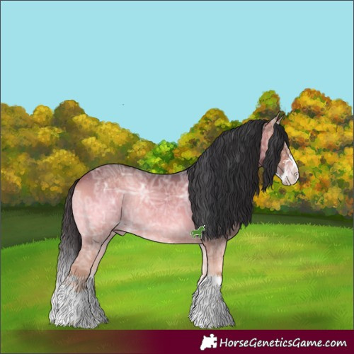 Horse Color:Bay Ice Onyx Sabino Splash 