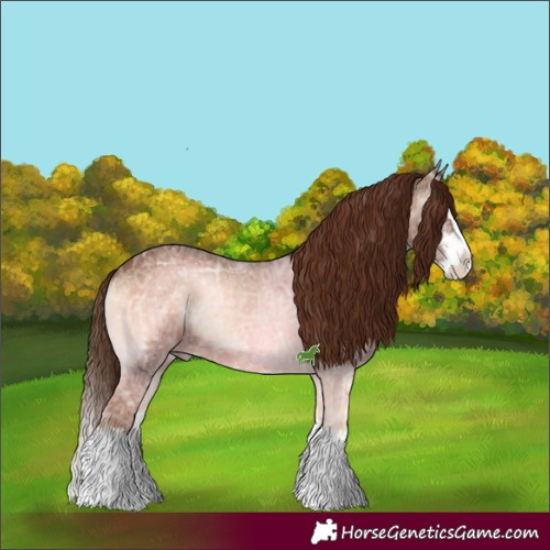 Horse Color:Red Onyx Ice Sabino Splash 