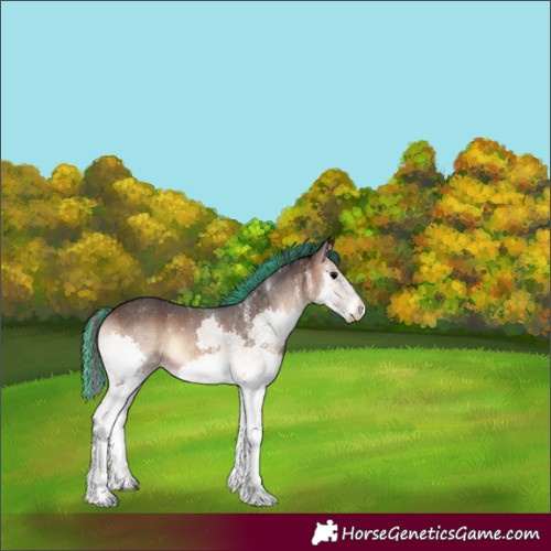 Horse Color:Painted White Spotted Brown Onyx Splash