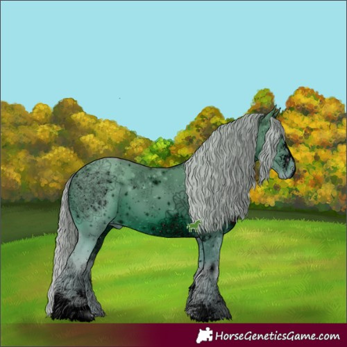 Horse Color:ERROR: UNKNOWN ANOMALY