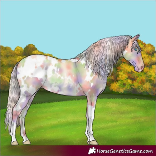 Horse Color:Nacre White Spotted Gold Cream Champagne Pearl Dun Appaloosa 