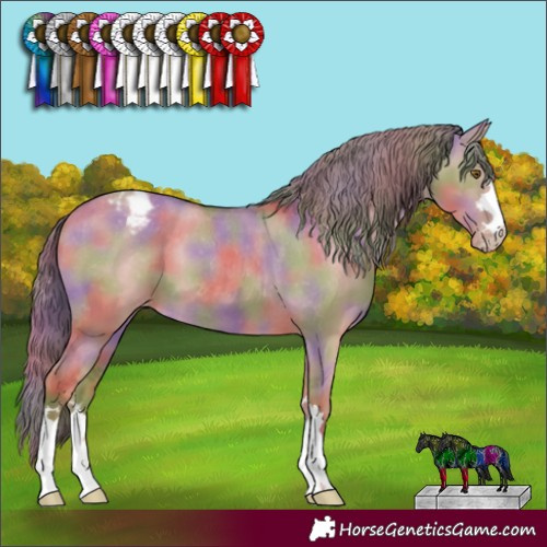 Horse Color:Nacre Classic Cream Champagne Dun Appaloosa