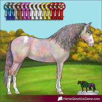 Horse Color:Nacre Classic Cream Champagne Dun Varnish