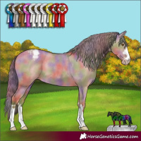 Horse Color:Nacre Classic Cream Champagne Dun Appaloosa 