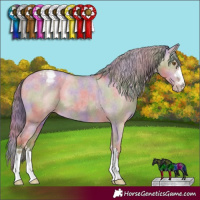 Horse Color:Nacre Classic Cream Champagne Dun Varnish 