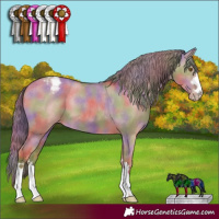 Horse Color:Nacre Classic Cream Champagne Dun Appaloosa 