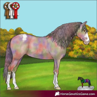Horse Color:Nacre Classic Cream Champagne Dun Appaloosa