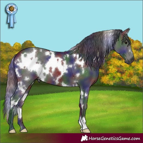 Horse Color:Gray Nacre White Spotted Black 