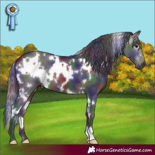 Horse Color:Gray Nacre White Spotted Black 