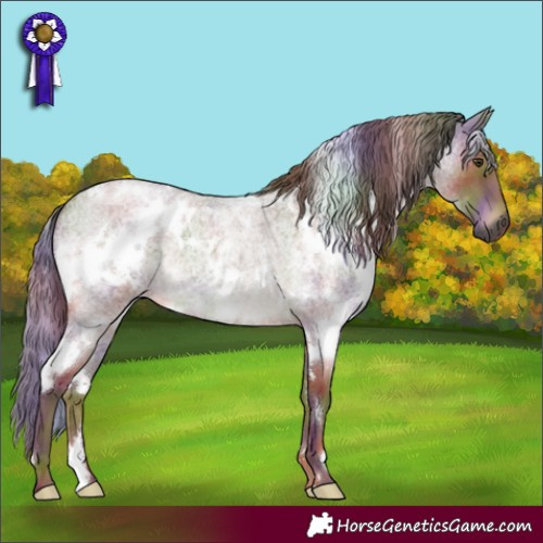 Horse Color:Gray Nacre White Spotted Red Roan 