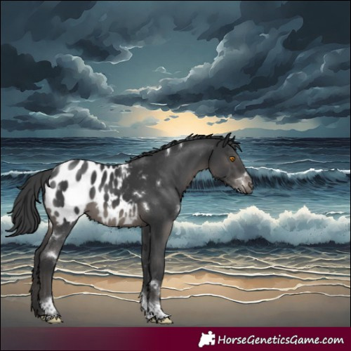 Horse Color:White Spotted Black Tobiano Appaloosa Rabicano 