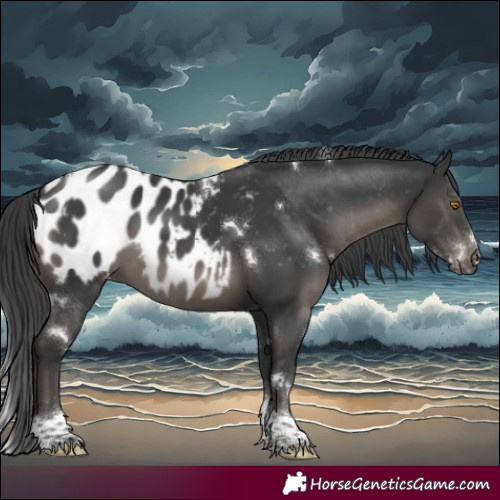 Horse Color:White Spotted Black Tobiano Appaloosa Rabicano 