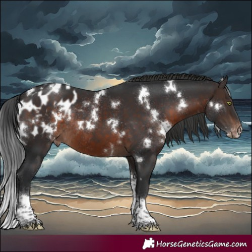 Horse Color:White Spotted Brown Tobiano Appaloosa Rabicano 