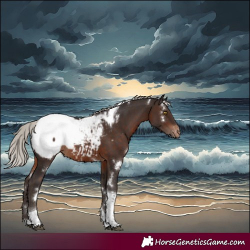 Horse Color:White Spotted Silver Brown Tobiano Appaloosa Rabicano 