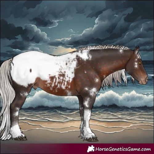 Horse Color:White Spotted Silver Brown Tobiano Appaloosa Rabicano 