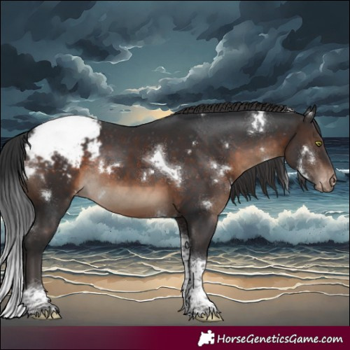 Horse Color:White Spotted Brown Tobiano Appaloosa Rabicano 