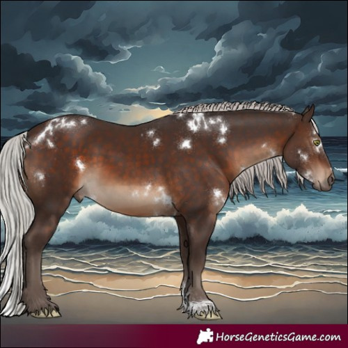 Horse Color:White Spotted Silver Brown Sabino Rabicano