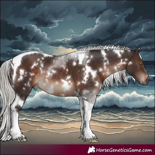 Horse Color:White Spotted Silver Brown Tobiano Rabicano 