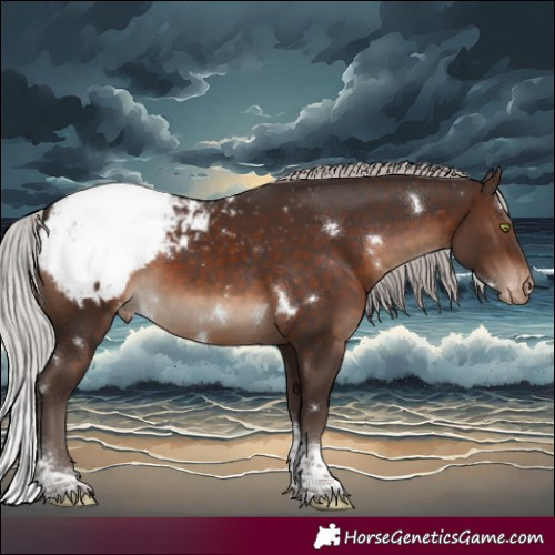 Horse Color:White Spotted Silver Brown Tobiano Appaloosa Rabicano