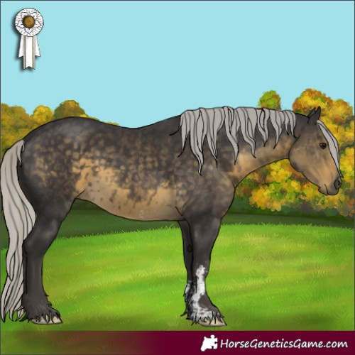 Horse Color:Silver Smoky Black Mushroom Sabino 