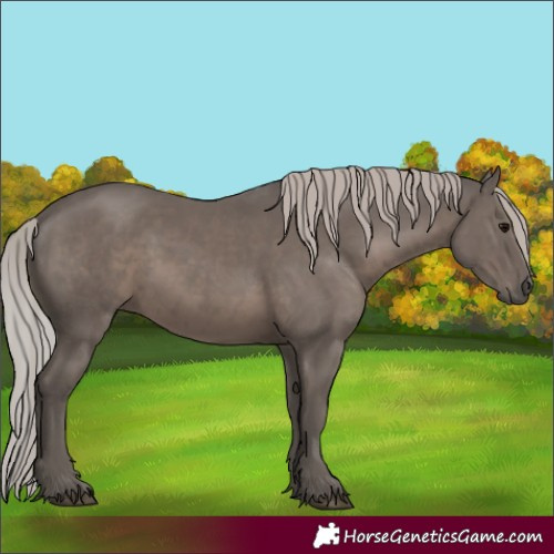 Horse Color:Silver Black Mushroom 
