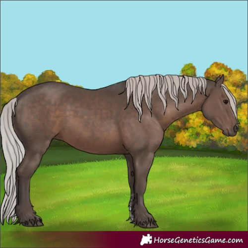Horse Color:Silver Black Mushroom Sabino 