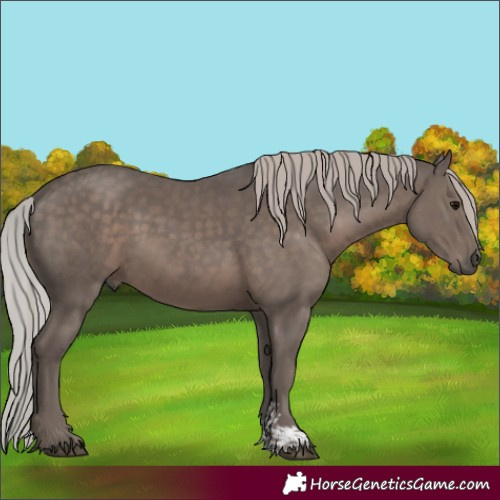 Horse Color:Silver Black Mushroom Sabino