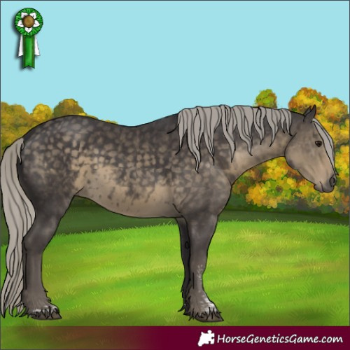 Horse Color:Silver Smoky Black Mushroom Sabino and Silver Smoky Black Mushroom Sabino