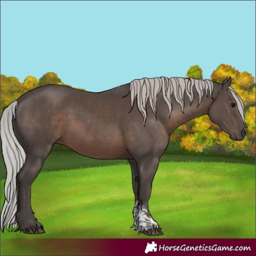 Horse Color:Silver Black Mushroom Sabino 