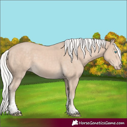 Horse Color:Silver Smoky Creme Mushroom Sabino 