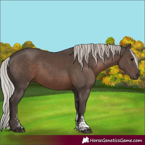 Horse Color:Silver Black Mushroom Sabino 