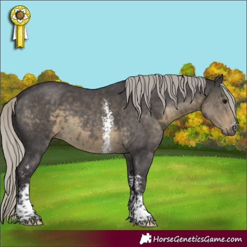 Horse Color:Silver Smoky Black Mushroom Sabino 